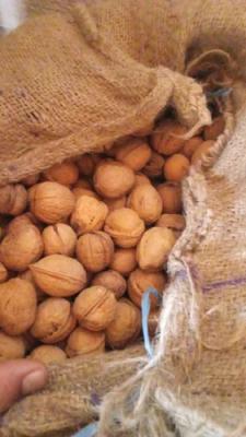 Kashmiri Walnut